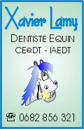 Dentisterie Equine