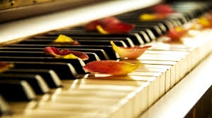 Apprendre le piano - Changements physiques dans le cerveau
